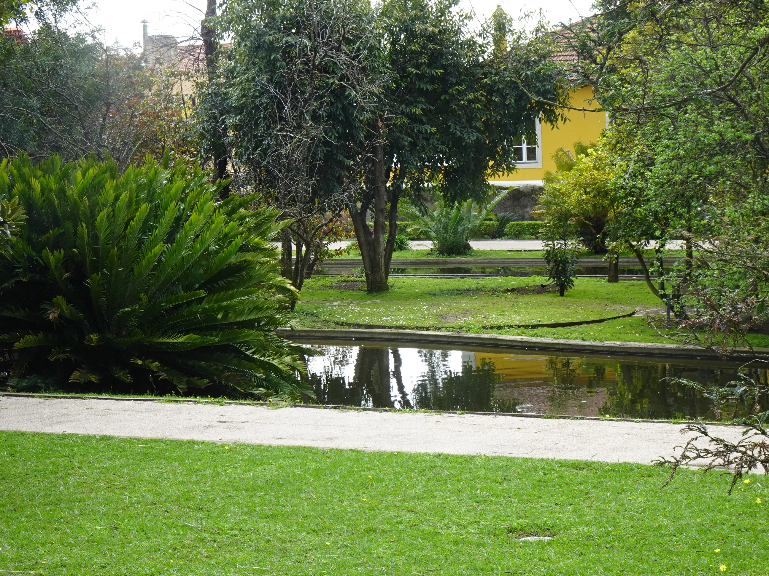 Jardim Botânico Tropical - A Visita