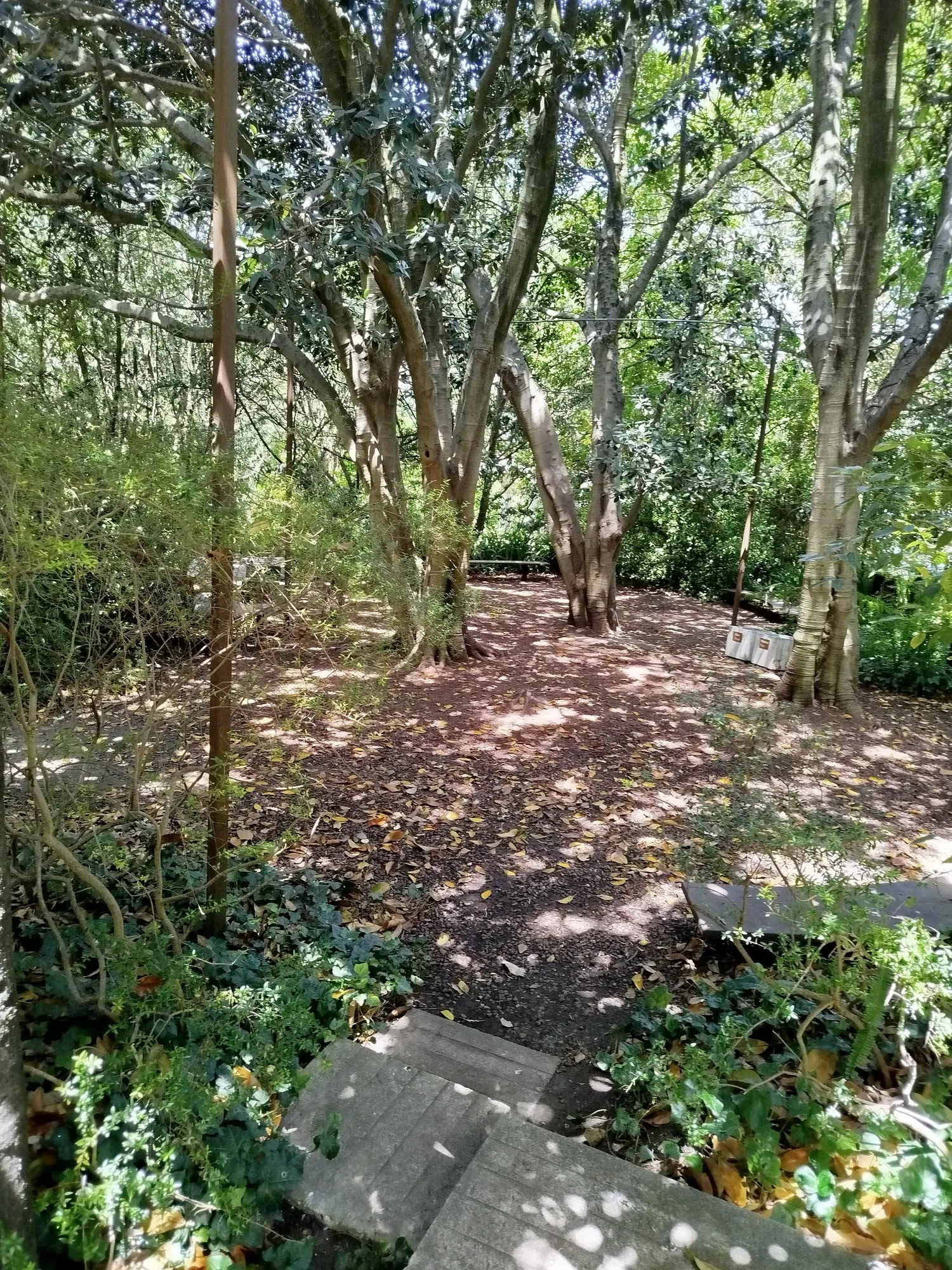Jardins da Gulbenkian