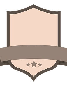 Blank Grey Badge_edited.png