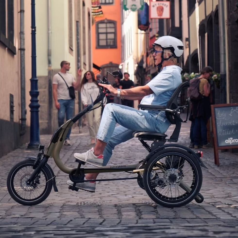 Miniature : Triporteur Easy Rider Compact - Van Raam