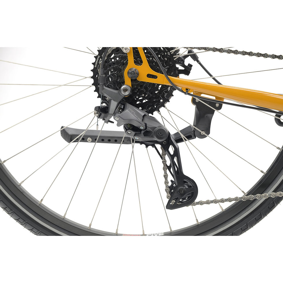 Miniature : Vélo voyage Genesis - Tour de Fer 40