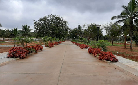 WhatsApp Image 2021-01-07 at 11.46.34 AM (1).jpeg