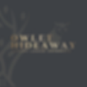 OwletHideaway_Linkedin-ProfilePicture_edited.png