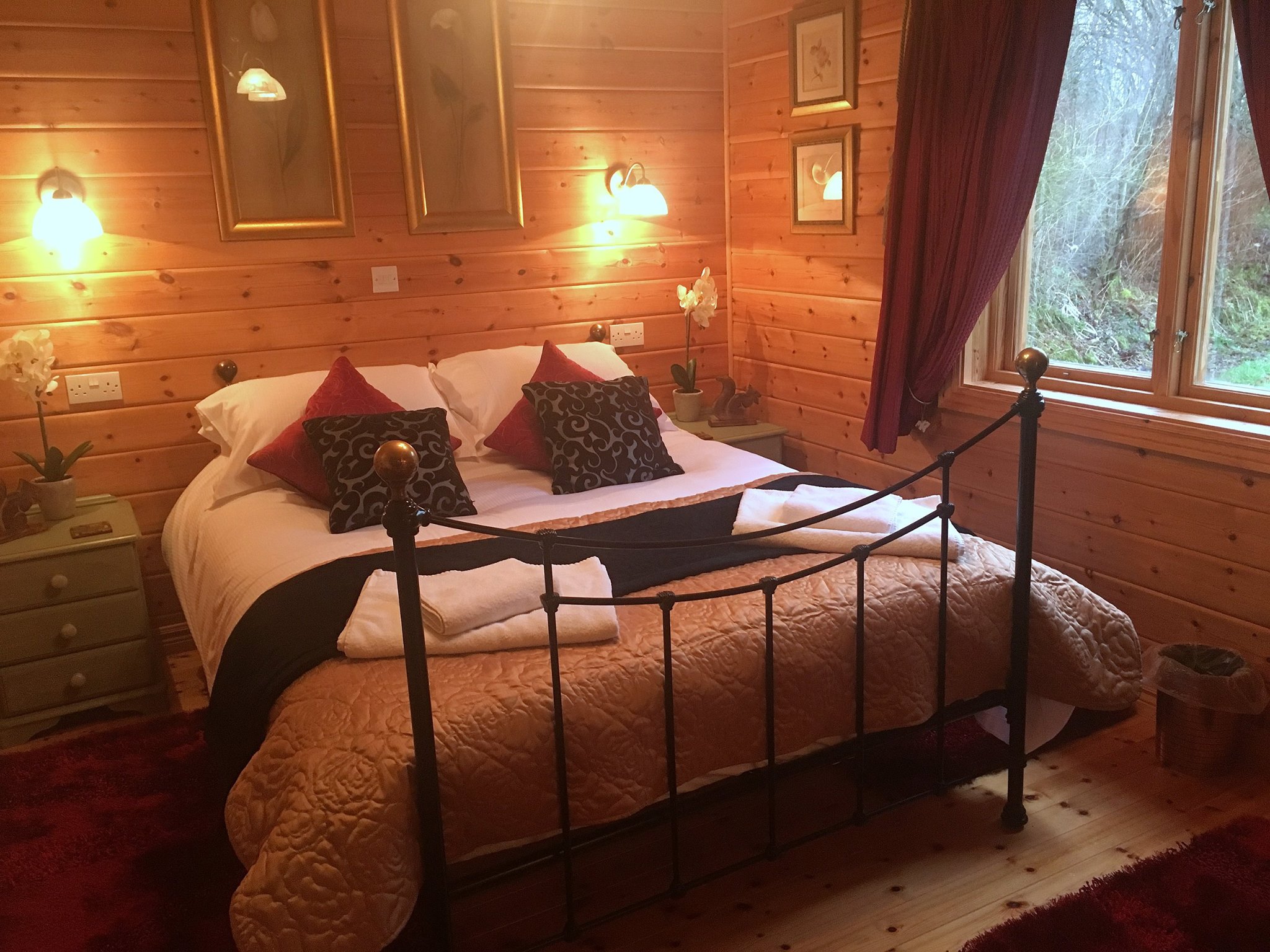Owlet Hideaway