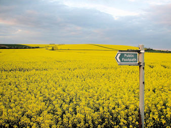 More Government funding available to support new delivery models
