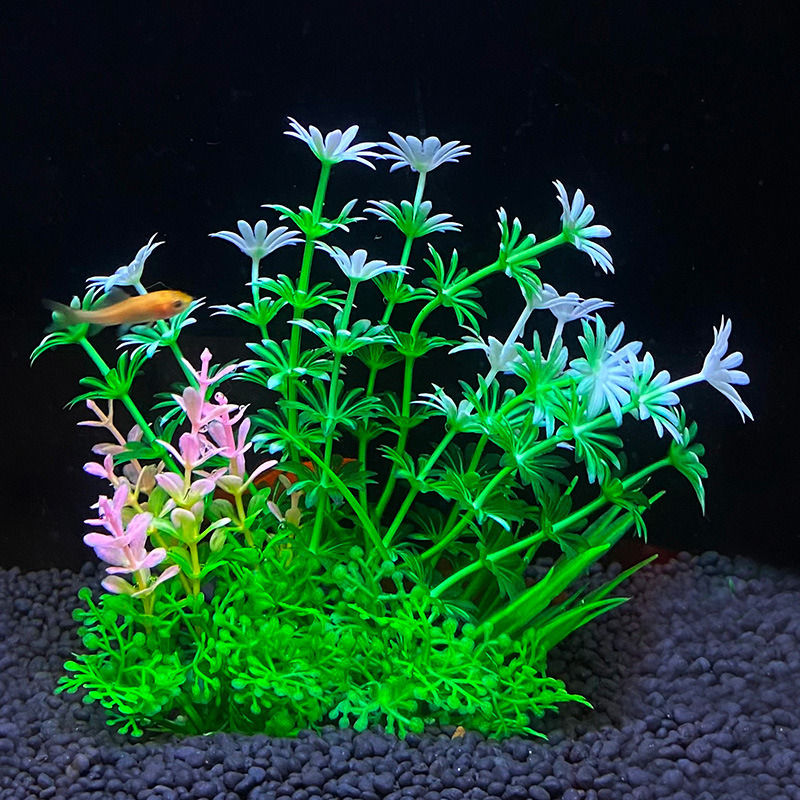 Thumbnail: Aquarium Plants