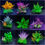 Thumbnail: Aquarium Plants