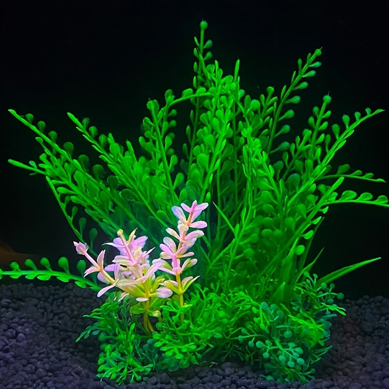 Thumbnail: Aquarium Plants