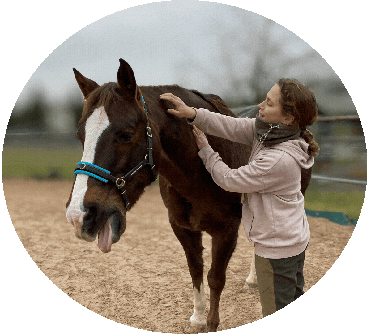 Bild_ClaudiaMicko_Pferd_kreis.gif