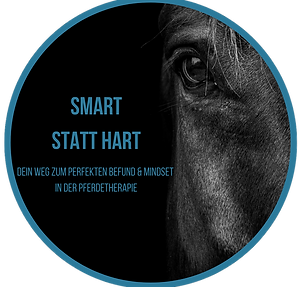 SMART statt hart (2).png