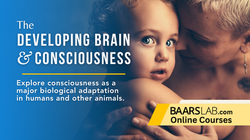 Developing-Brain-Consciousness-Roundtable