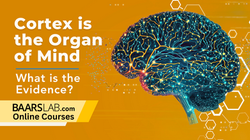 Cortex is the Organ of Mind Video Thumbnail Main static 1