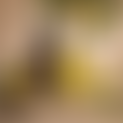 Buy natural face oils and serums – Marula Oil, Kalahari Melon Seed Oil, Crush It Oil, Marie Rejuvenating Serum, and Rae Luxury Face Serum for glowing, healthy skin