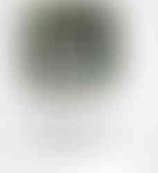 Before using Haitian Castor Oil – hair showing breakage and thinning