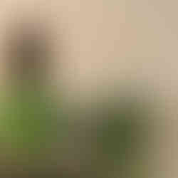 sicily savoca the godfather movie tour