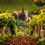 Миниатюра: 8 days Best of Tuscany Private Tour