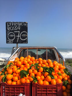 New Year Italy Tours