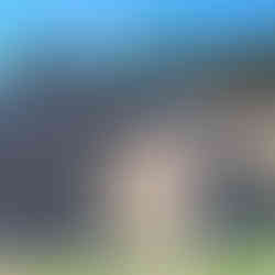 Sicily Italy Tindary Nature Tour