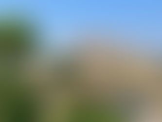 Your guide in Sicily: Selinunte archeological park tour.