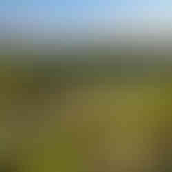 Sicily pakage bio tours