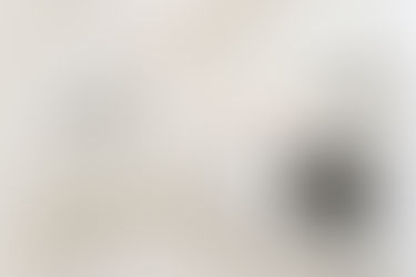 Z ošklivého káčátka krásná labuť.