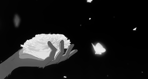 tumblr_otbwb5qIU11vfwgzjo1_500.gif