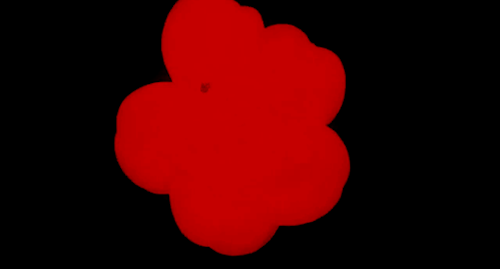tumblr_p3fkjcQccH1ui7oe1o1_500.gif