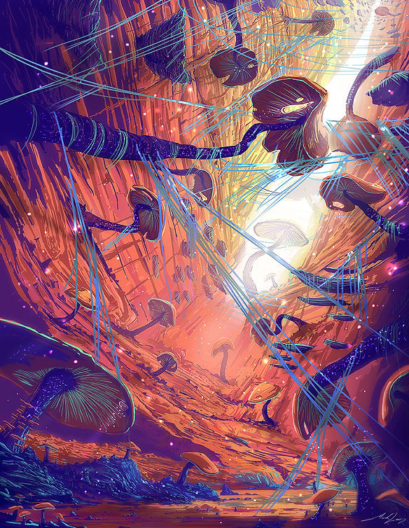 Between the cracks_low res.jpg