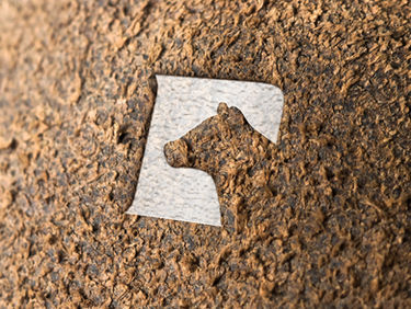 cattle logo design & flyer design in Nebraska