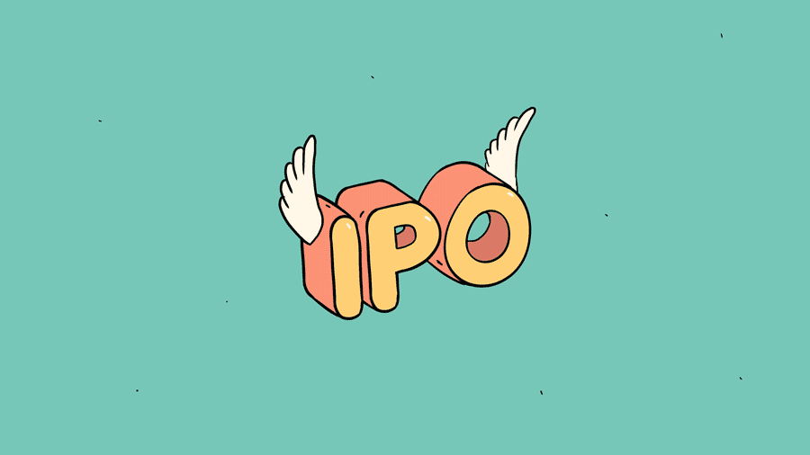 Going Public: The Process for Small and Mid-Sized Companies