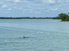 IMG_3440.jpeg