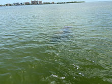 IMG_3380.jpeg
