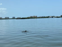 IMG_3356.jpeg