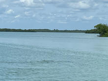 IMG_3442.jpeg