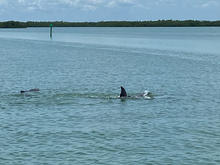 IMG_3433.jpeg