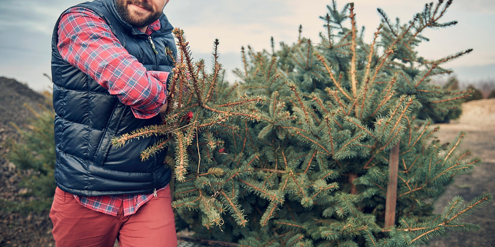 John Wilkinson Memorial Christmas Tree Pick Up 2021