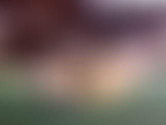 合気道入江道場研鑽会