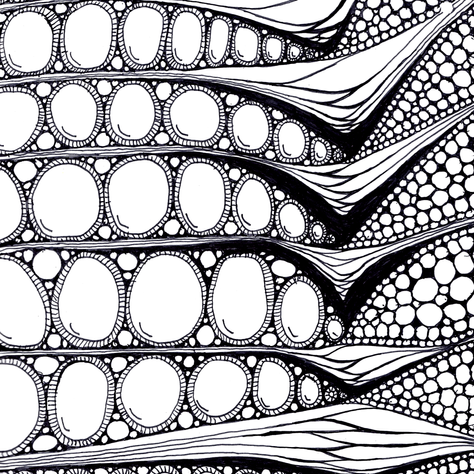 Drawing 008