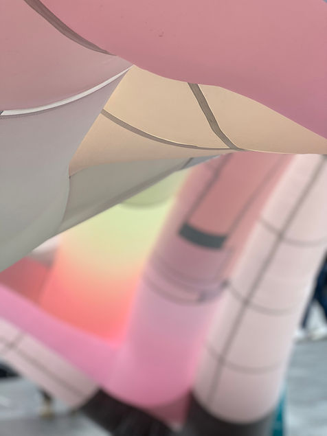 2022_PUDO_Inside by Robert Brackett 2022-05-08 16.26.01.jpg