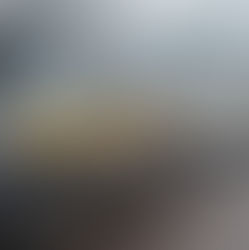 PRF apreende mais de 120 quilos de maconha em Frederico Westphalen