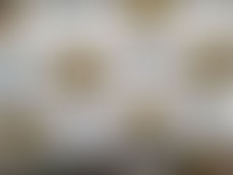 FURTO EM COMÉRCIO É FRUSTRADO POR AÇÃO DA BRIGADA MILITAR