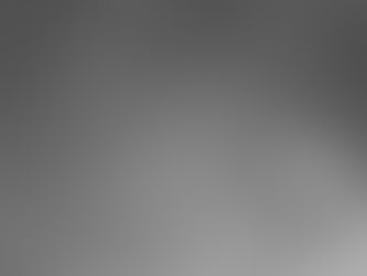 Onça captura cão em Parque Estadual do RS