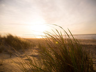 The Rush of a Mighty Wind (Pentecost)