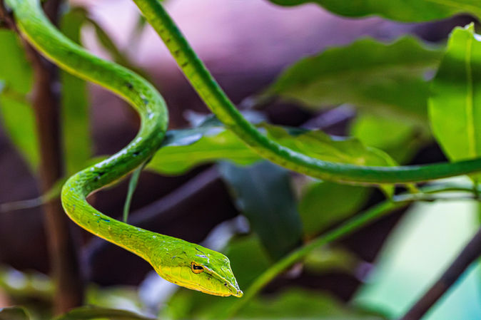 Two Truths and Grace upon Grace (Holy Cross Sunday)