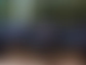 Great is your Faithfulness (Community Ministries Sunday)