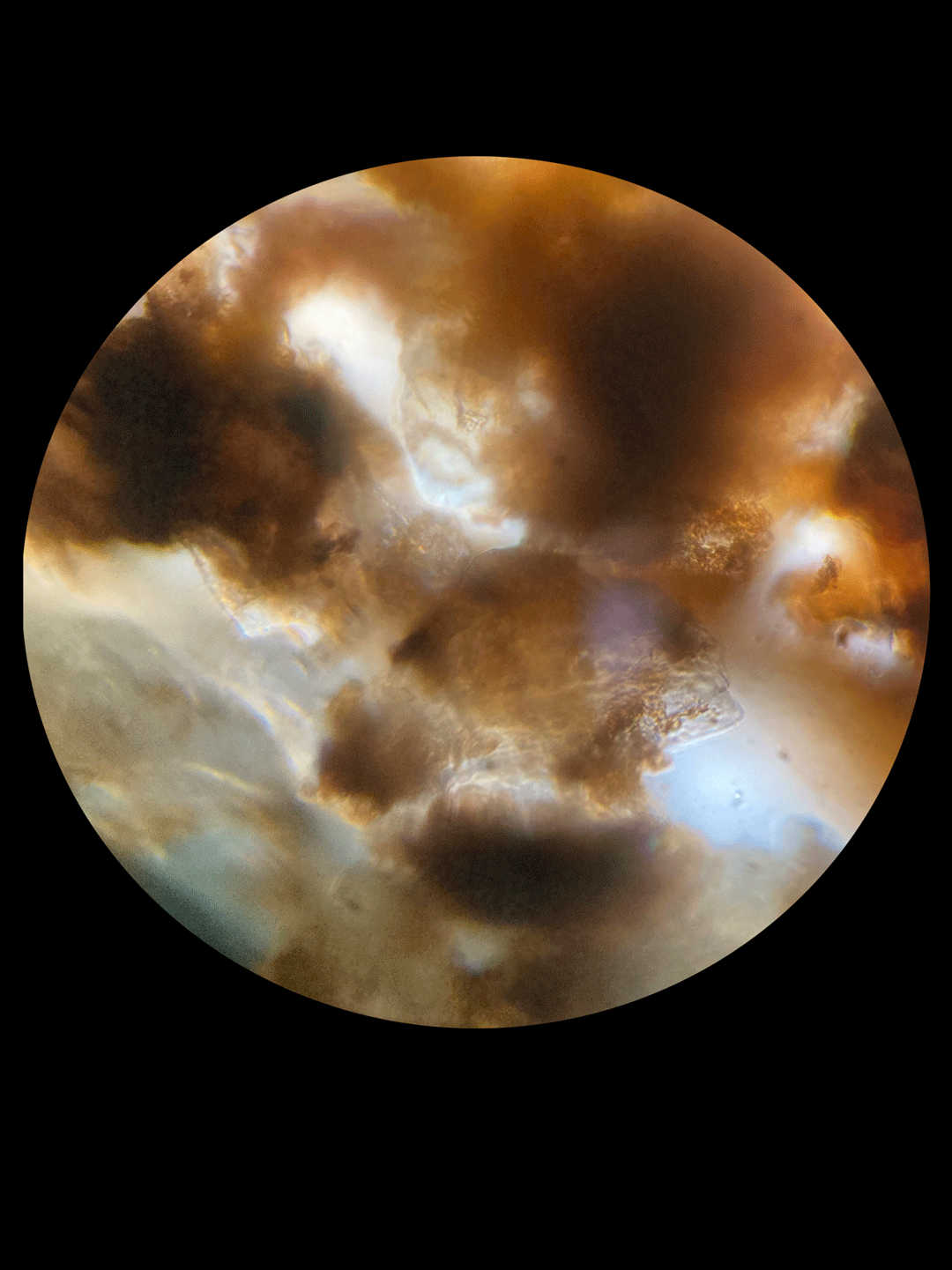 Untitled-31298.gif