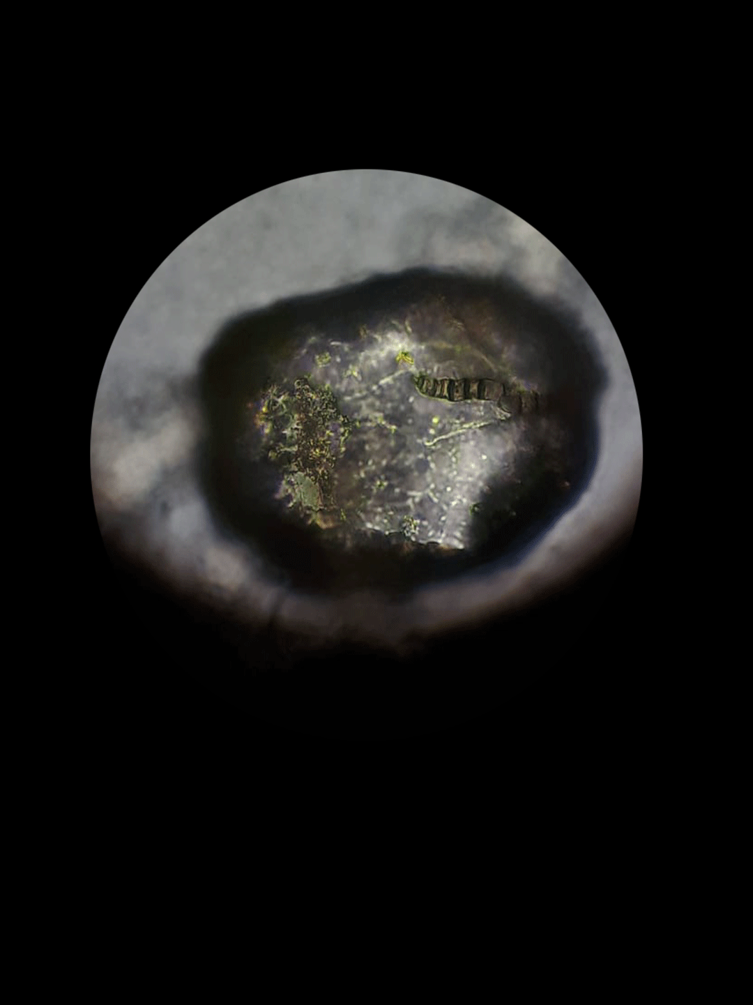 Untitled-355555555555556.gif