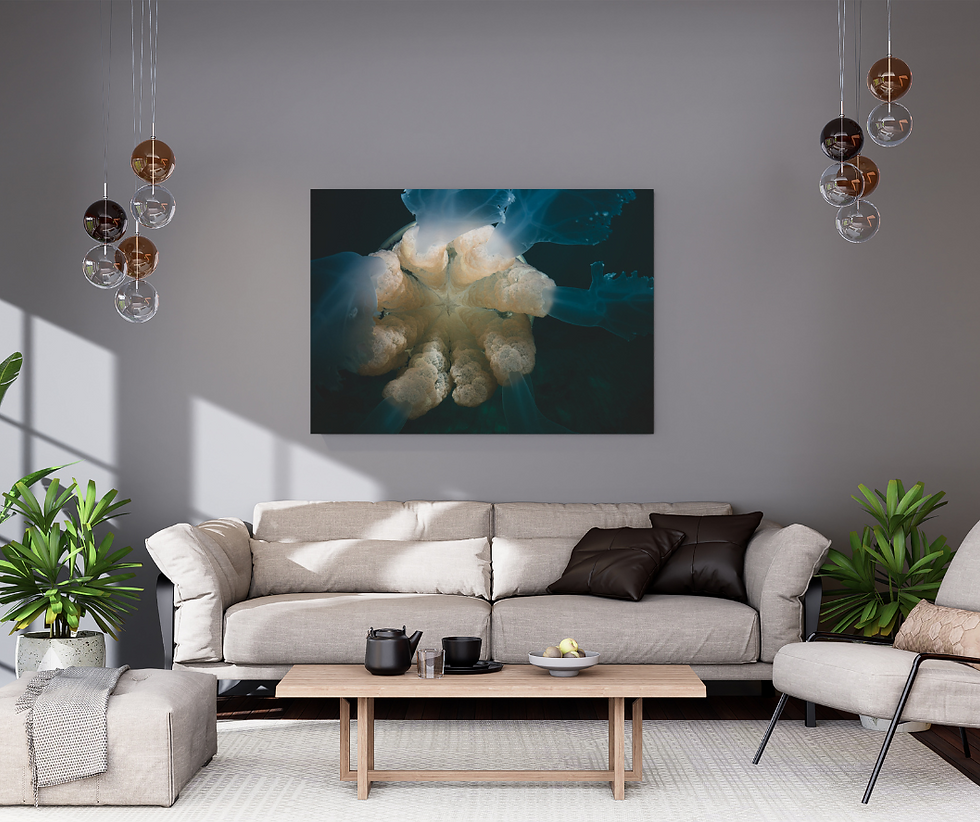 HD metal print of the view beneath a barrel jellyfish showing close up of tentacles