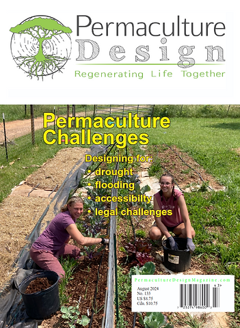 #133cover.png
