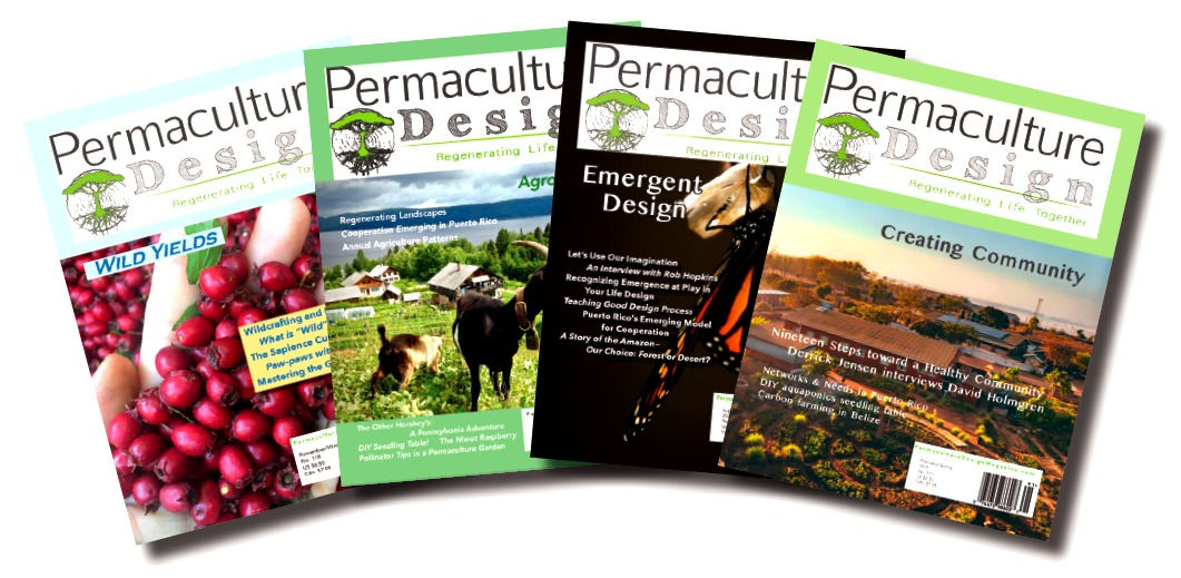 Complete Digital Archives on USB Drive, Back Issues #1 to #118, 1985 to 2020